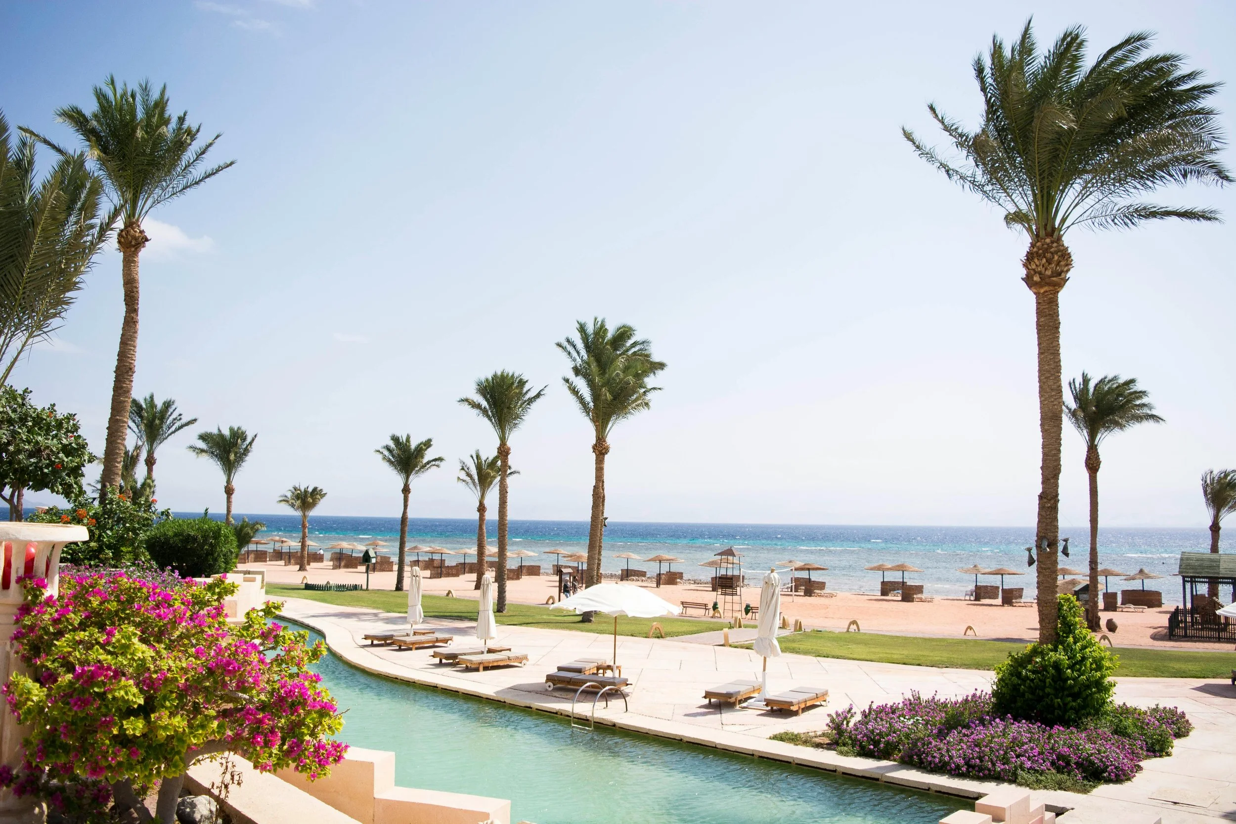 Beach resort with palm trees, lounge chairs under umbrellas, a swimming pool, and pink sandy beach leading to the ocean under a clear sky.