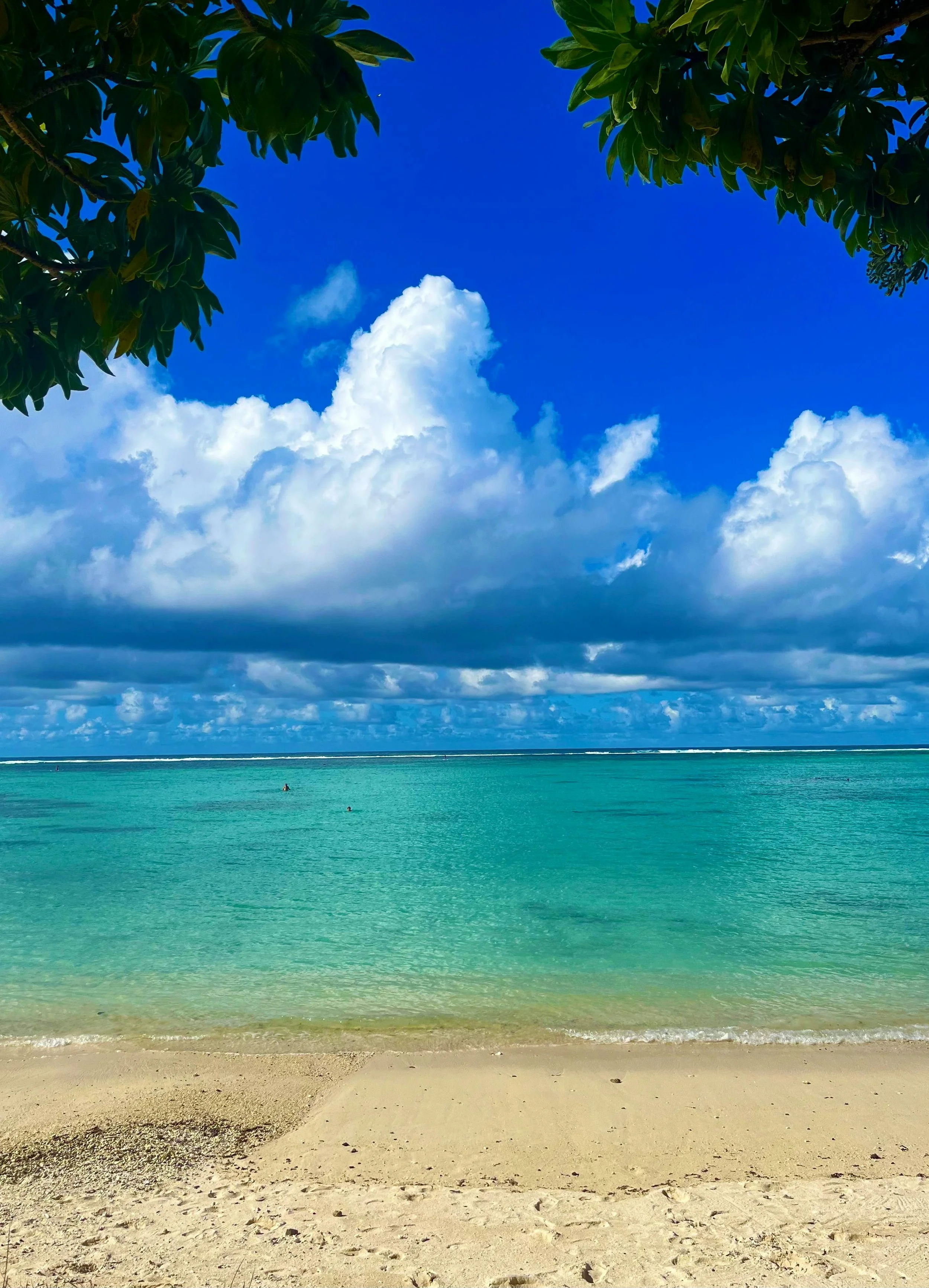 Beach scene with sandy shore, clear turquoise water, blue sky with white clouds, and green tree leaves overhanging.