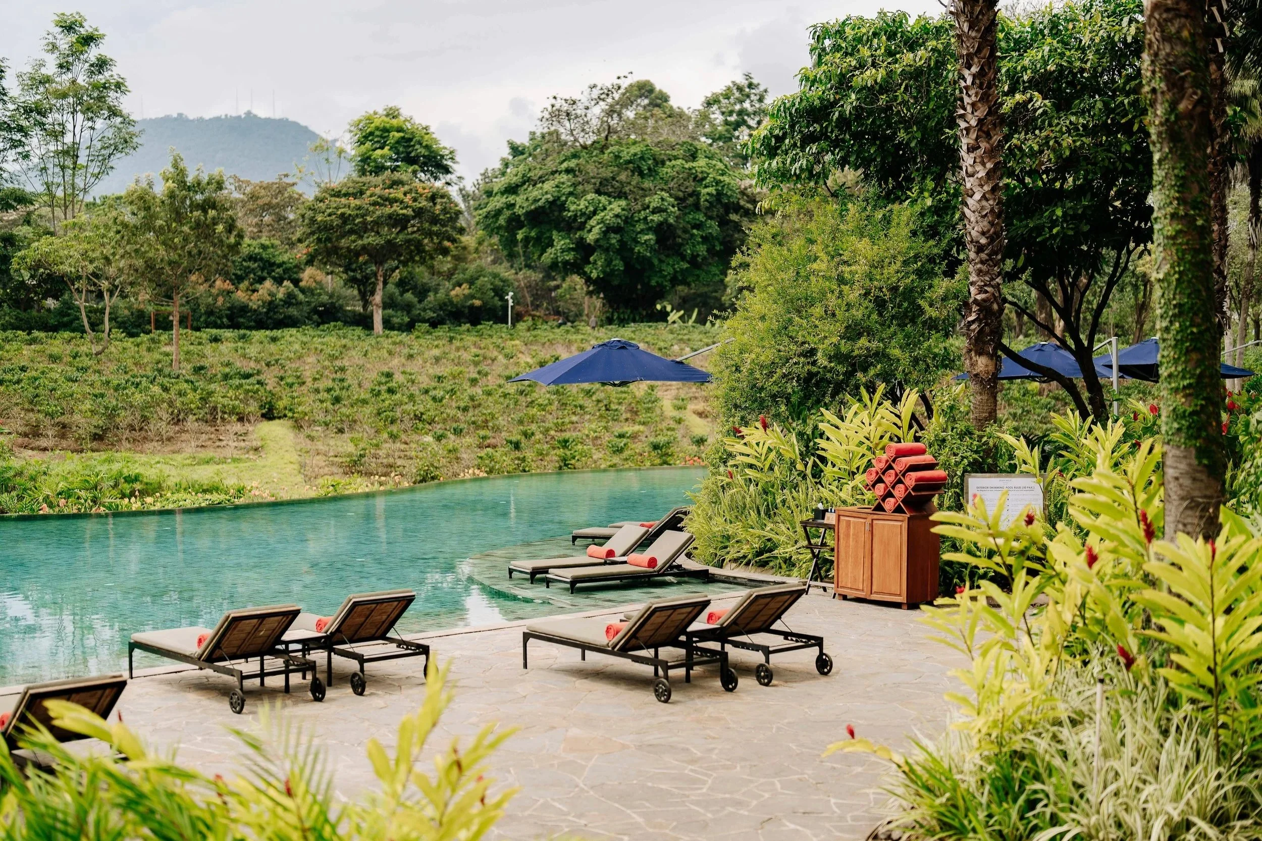 Swimming pool with lounge chairs and umbrellas, surrounded by lush green trees and plants, with hills in the background.