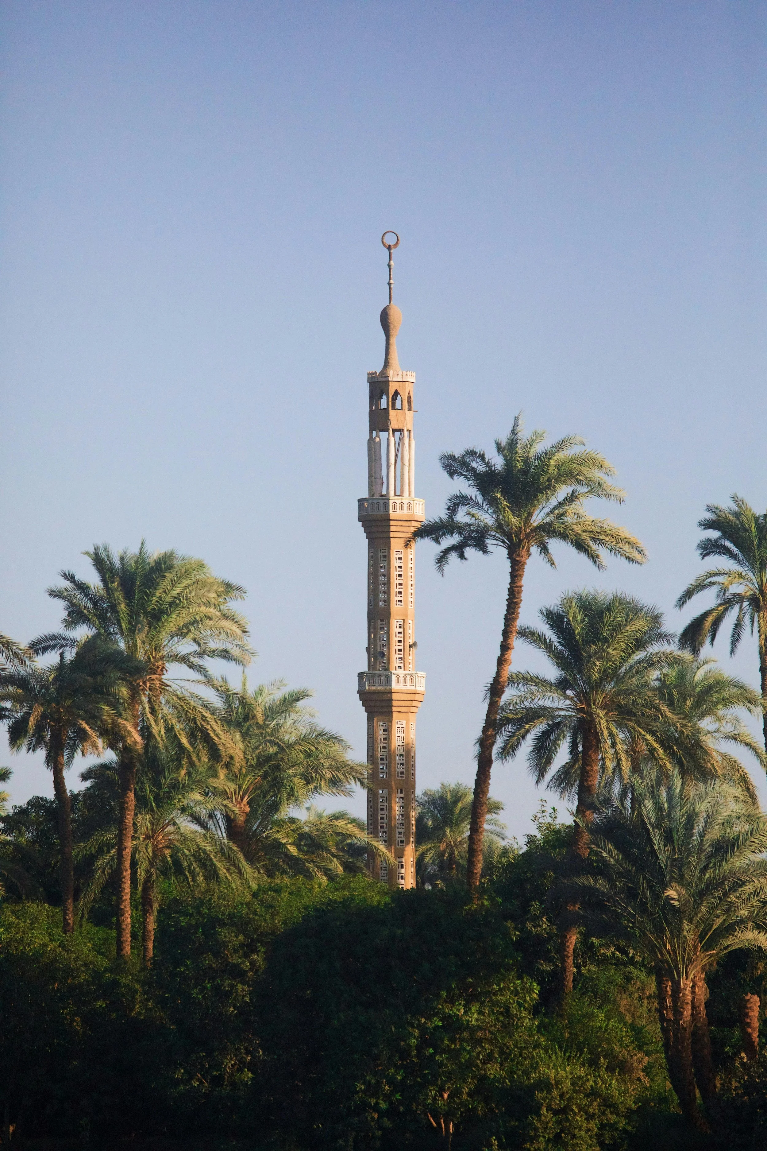 A tall minaret with intricate design details, surrounded by lush palm trees, under a clear blue sky.