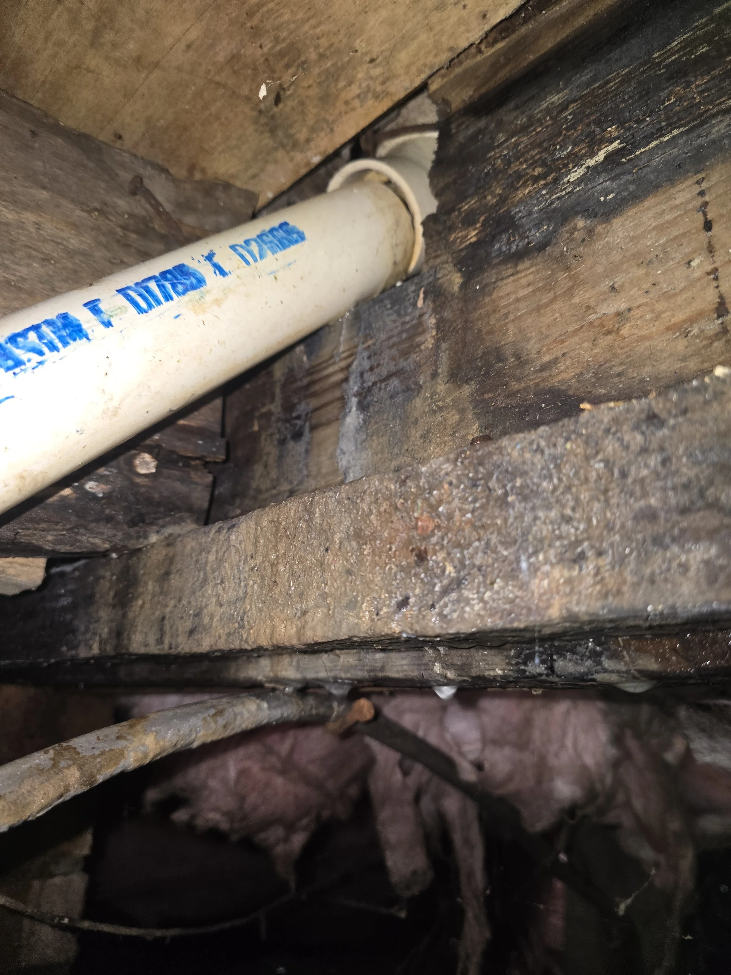 Close-up of a white PVC pipe running through a hole in wooden framing in an attic or crawl space, with pink insulation visible below.