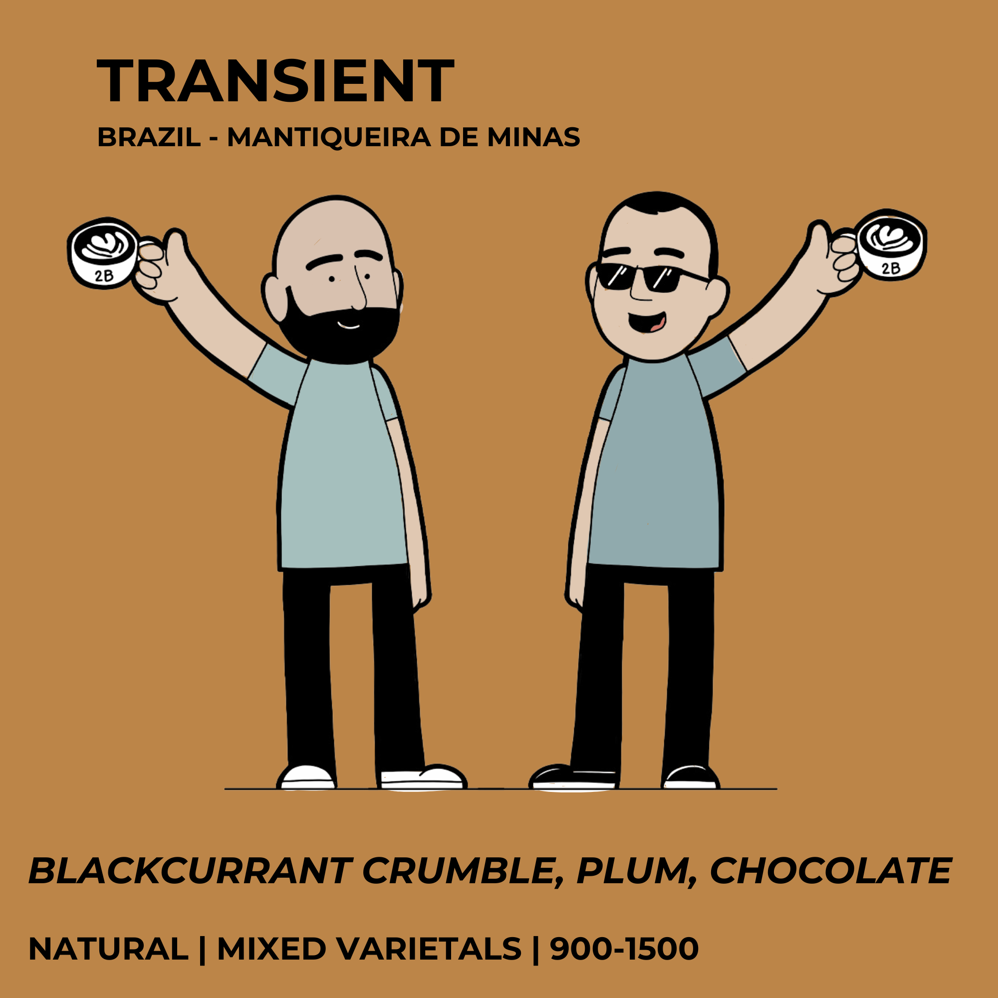 Transient