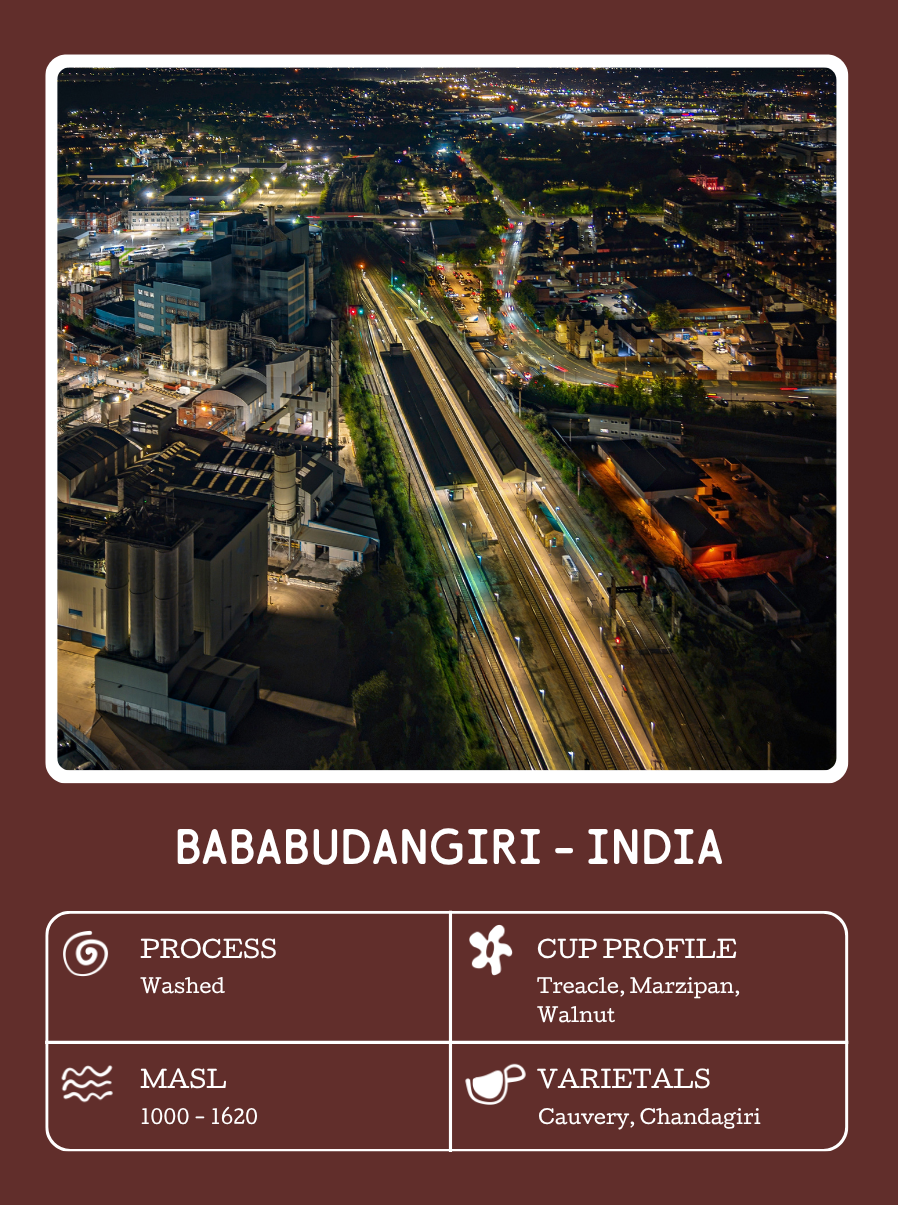 INDIA.png