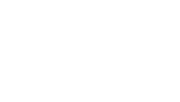 McLean Financial Services