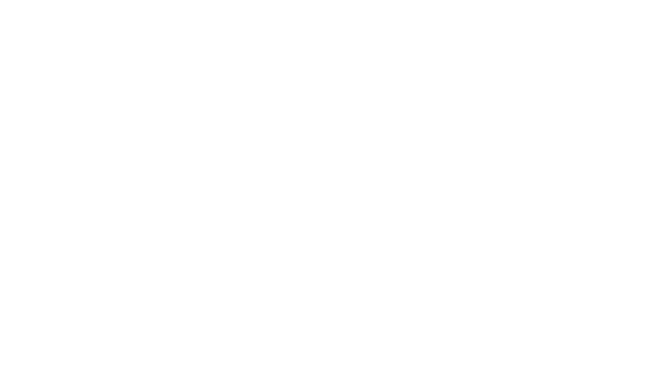 Inspecahire