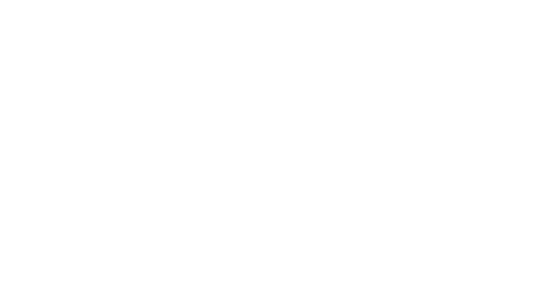 ANSA Data Analytics