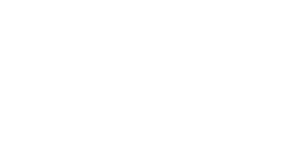 ANM Group
