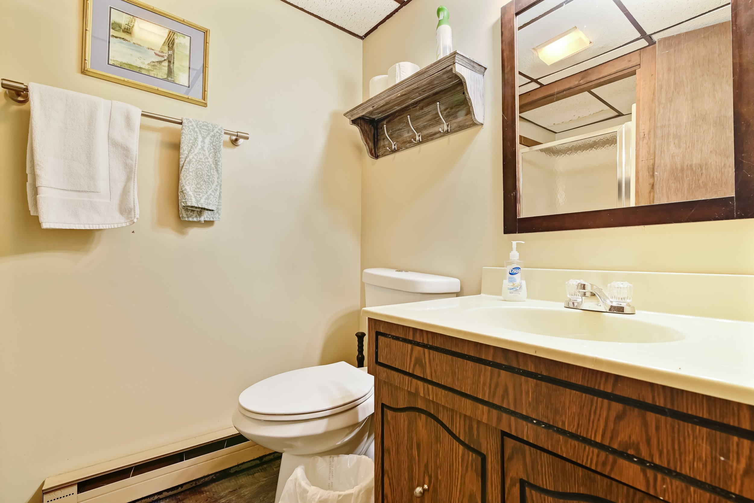 Lower level bathroom with standup shower.jpg