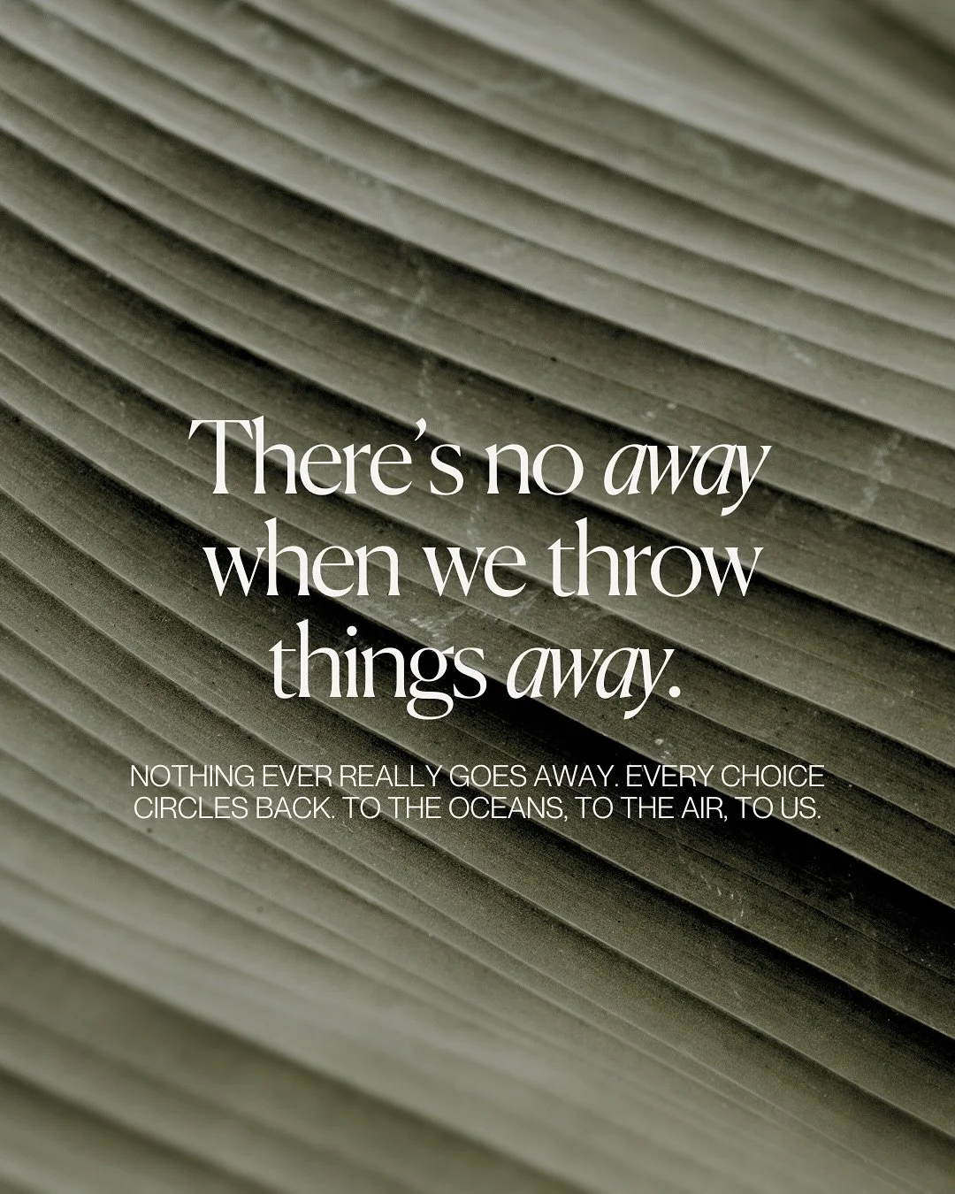 What if we changed how we see &ldquo;away&rdquo;?
 What if we treated every item as something that belongs somewhere - with purpose, not disposal?

That could look like:

🛍️ Choosing products made to last, not to litter.
♻️ Supporting circular syste