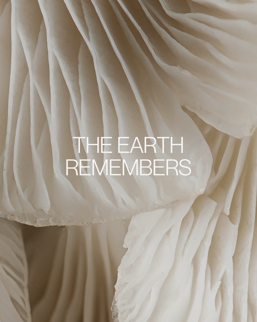The Earth doesn&rsquo;t forget. 

It notices when we listen, when we protect, when we give back. It holds both the harm we&rsquo;ve done and the hope we create when we act with awareness.

To #roamkinder is to listen, to move with intention, to conne