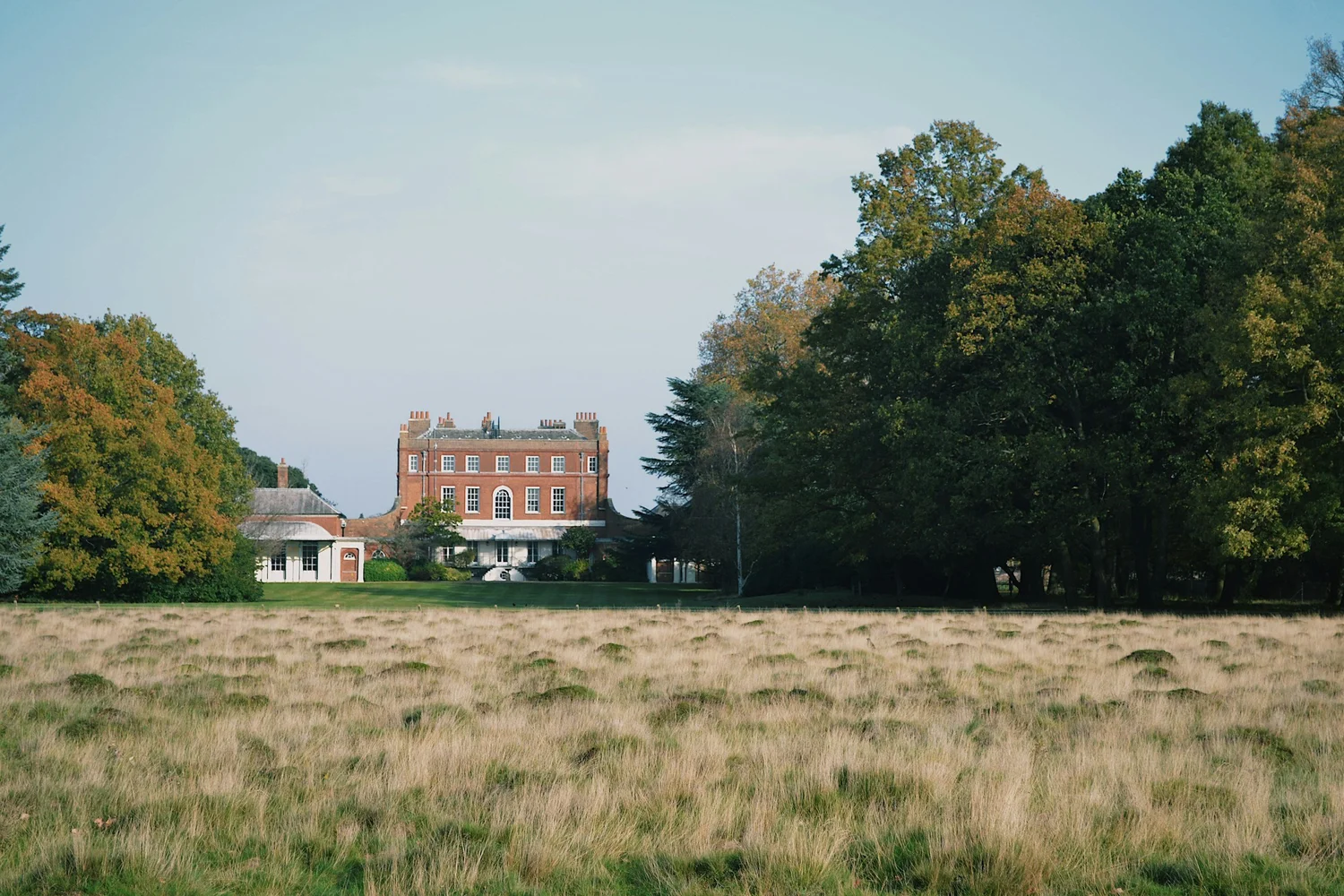 Bushy Park seen from the Teddington side