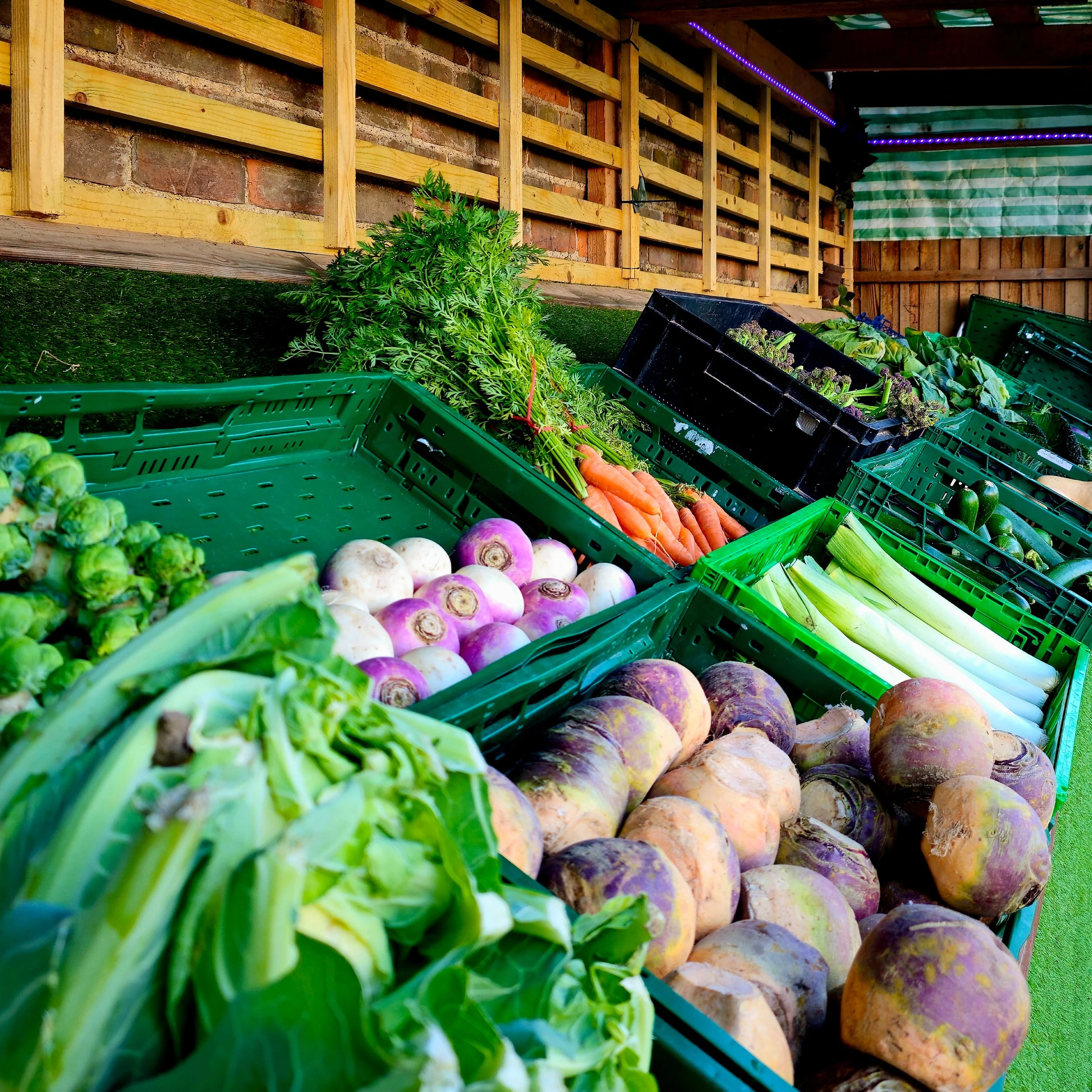 Crates of vibrant root vegetables and greens line the outdoor stand, overflowing with life and colour. From crisp carrots to deep purple swedes, the scene celebrates seasonal produce at its best. The natural rhythm of the display mirrors the care beh