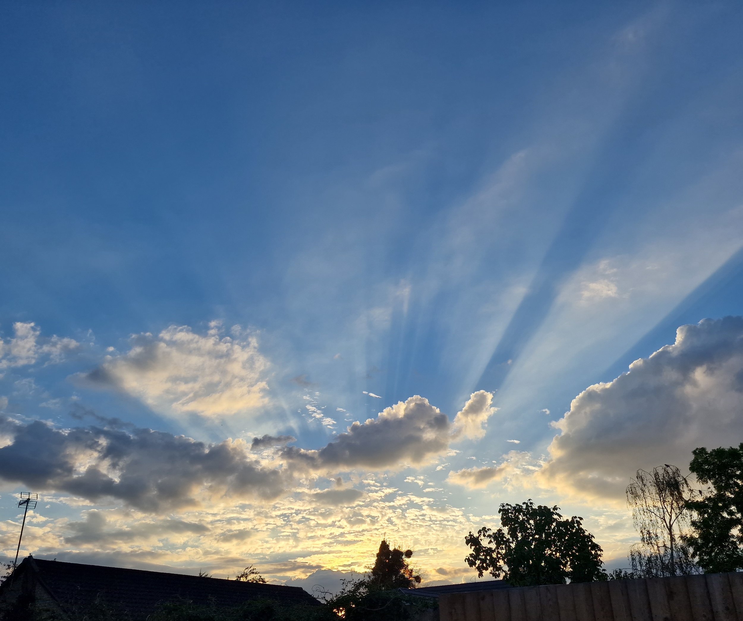 Dramatic sunset sky with crepuscular rays, glowing clouds, and silhouetted trees—capturing natural light, atmospheric weather effects, and scenic landscape photography.