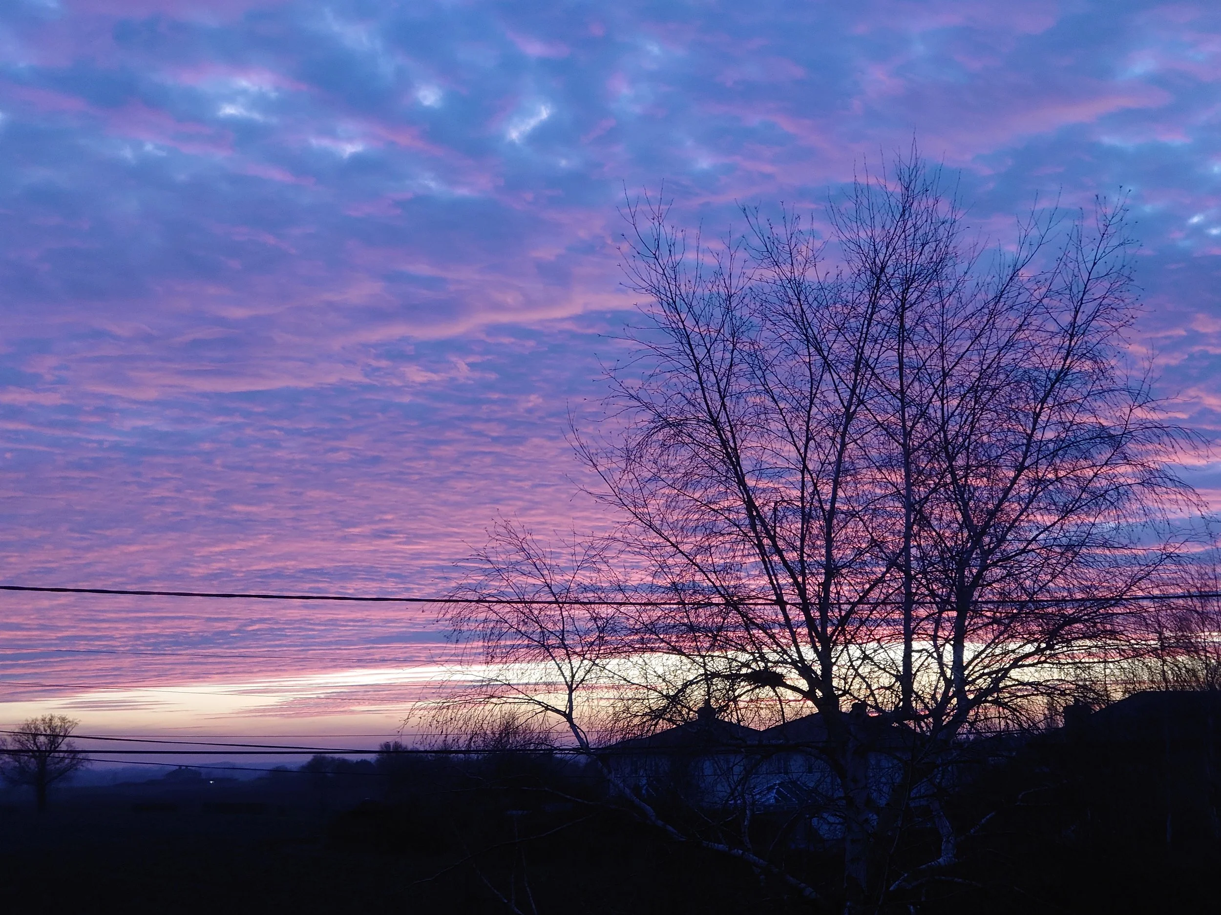 Violet and pink sunrise with altocumulus clouds stretching across the sky, silhouetted winter trees, and a misty rural horizon, showcasing dramatic natural colours and atmospheric weather patterns in landscape photography.