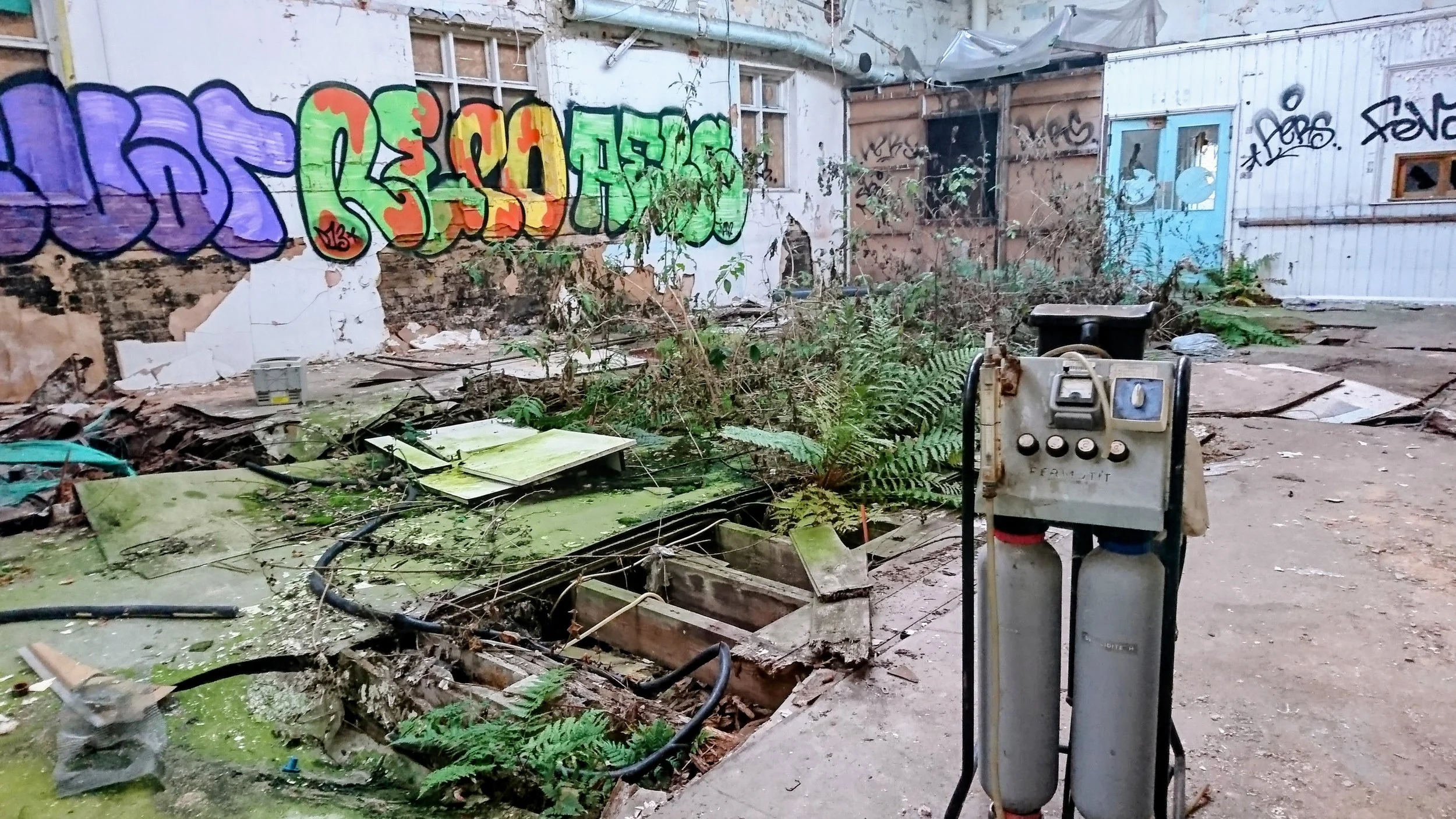 A striking abandoned industrial interior overtaken by nature and decorated with large-scale graffiti lettering. Ferns, broken flooring, and decaying structures merge with urban street art to create a powerful contrast between decay and creativity. Id