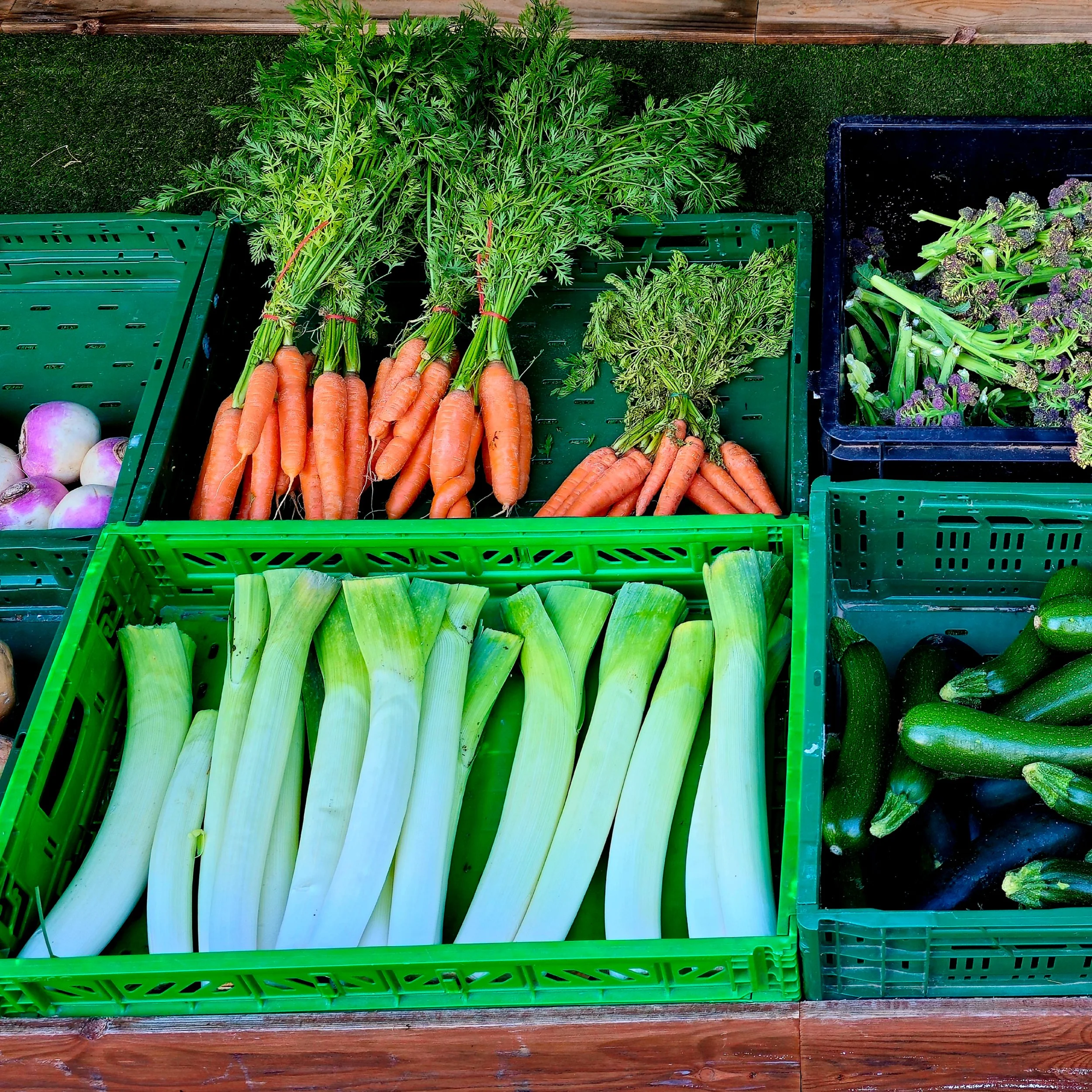 A visual ode to Lincolnshire’s soil. The crisp whites of leeks and the fiery orange of carrots sit side by side, freshly pulled and brimming with vitality. This shot captures both order and organic imperfection—celebrating the artistry of everyday fa
