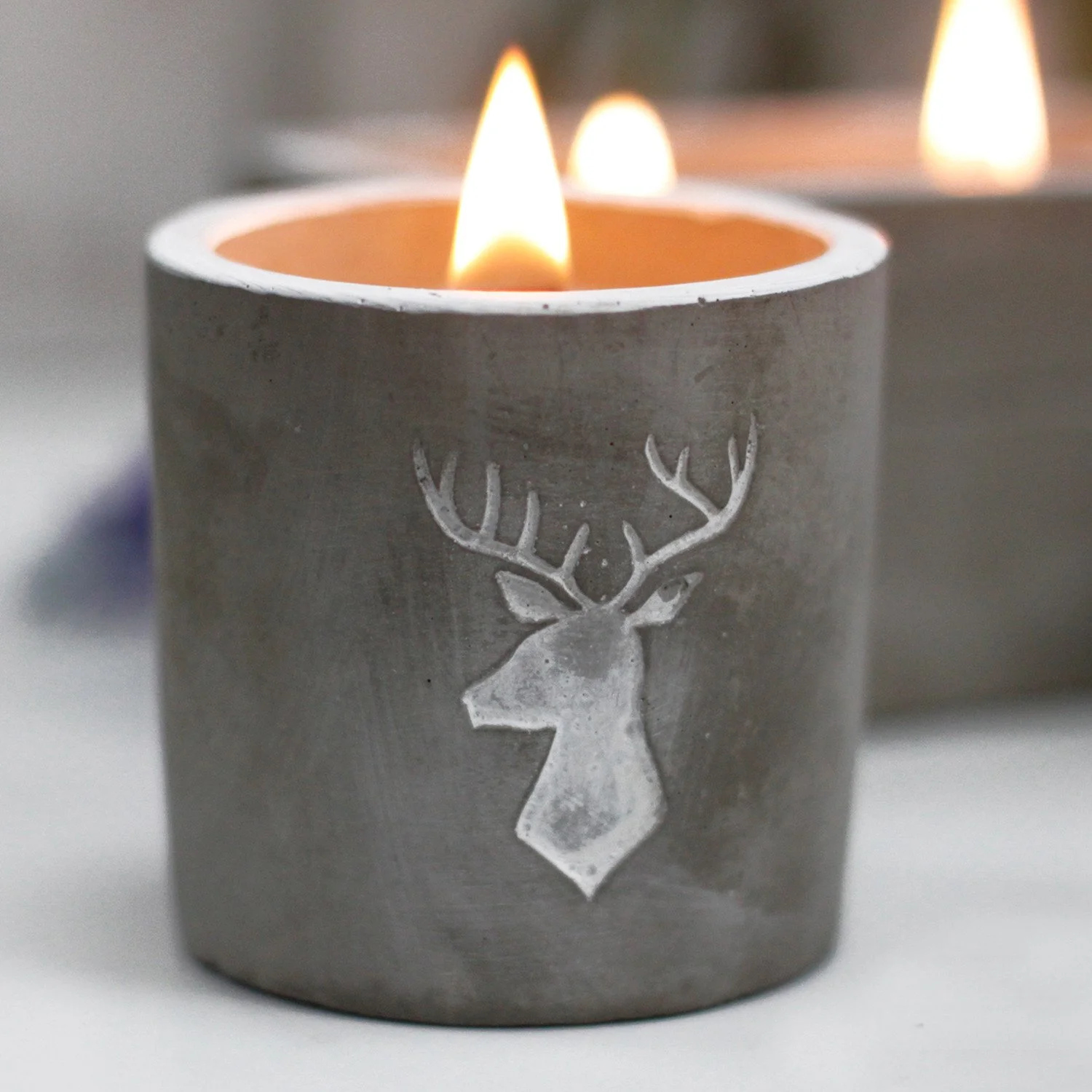 Medium Concrete Pot Candle Stag Head  Whiskey & Woodsmoke