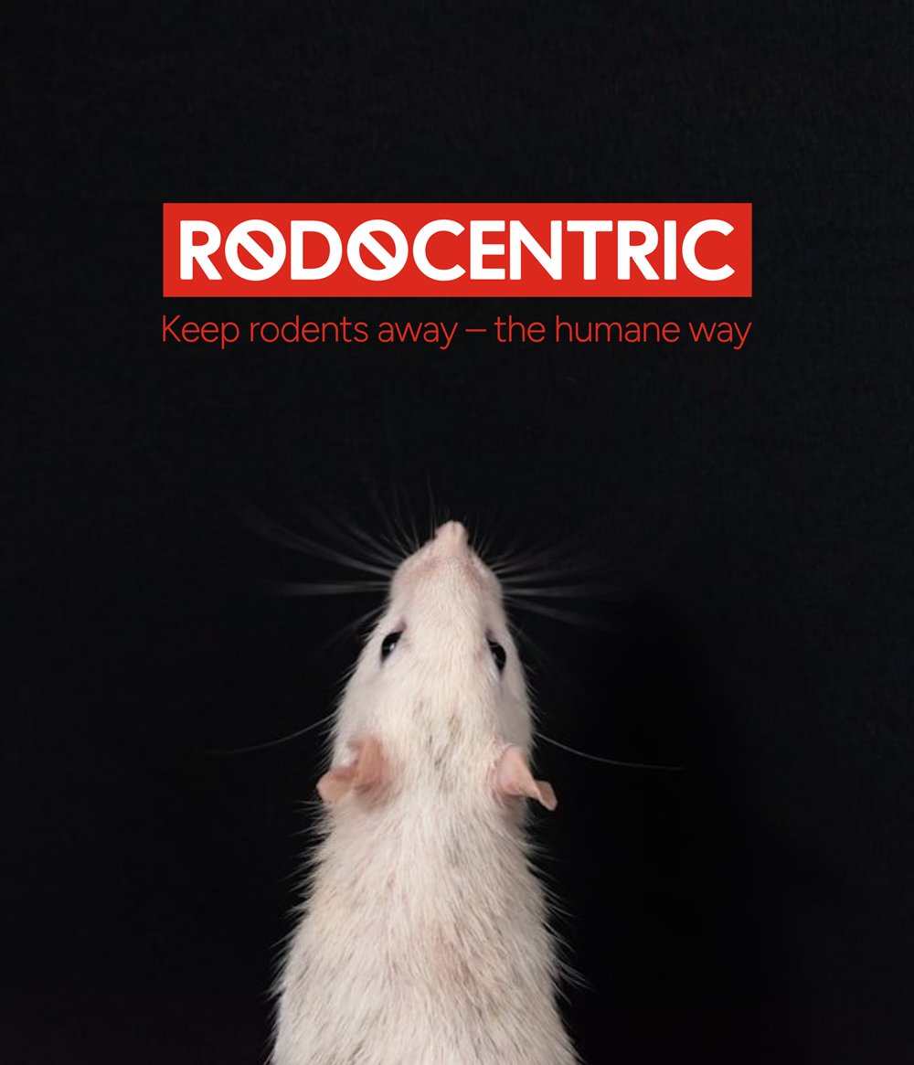 Close-up of a rat with its nose pointed upward against a black background, with text indicating 'RODOCENTRIC' and 'Keep rodents away — the humane way'.