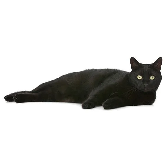 주거와 체류의 지역 단위 재조합 | Potato Alley: Reconfiguring Living and Stay at the Neighborhood Scale