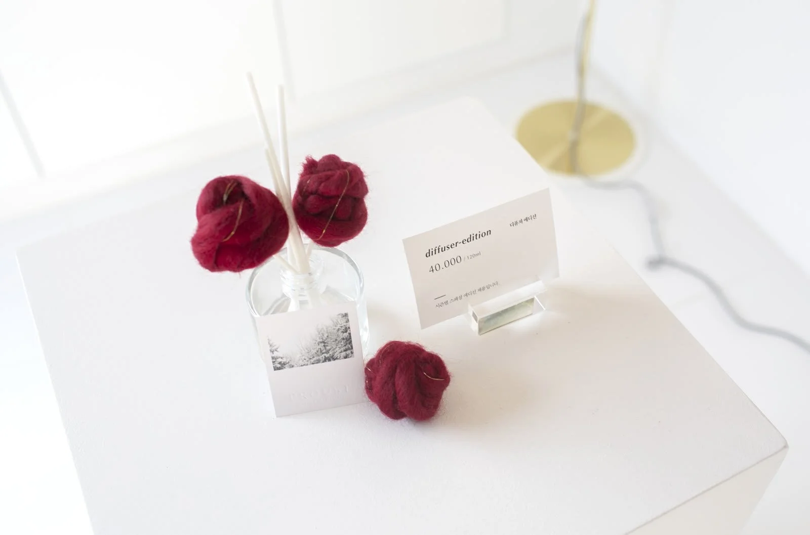 Red dried flowers on white