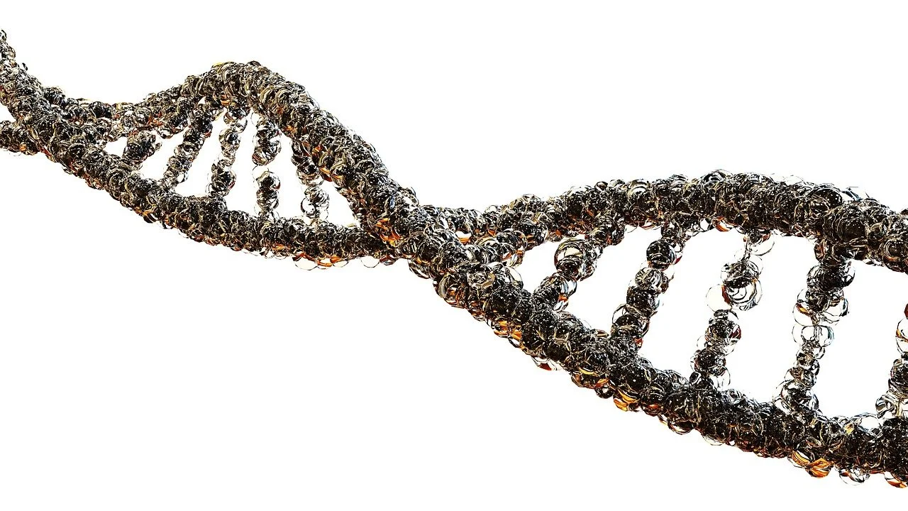 La genetica si scrive a penna, l'epigenetica a matita