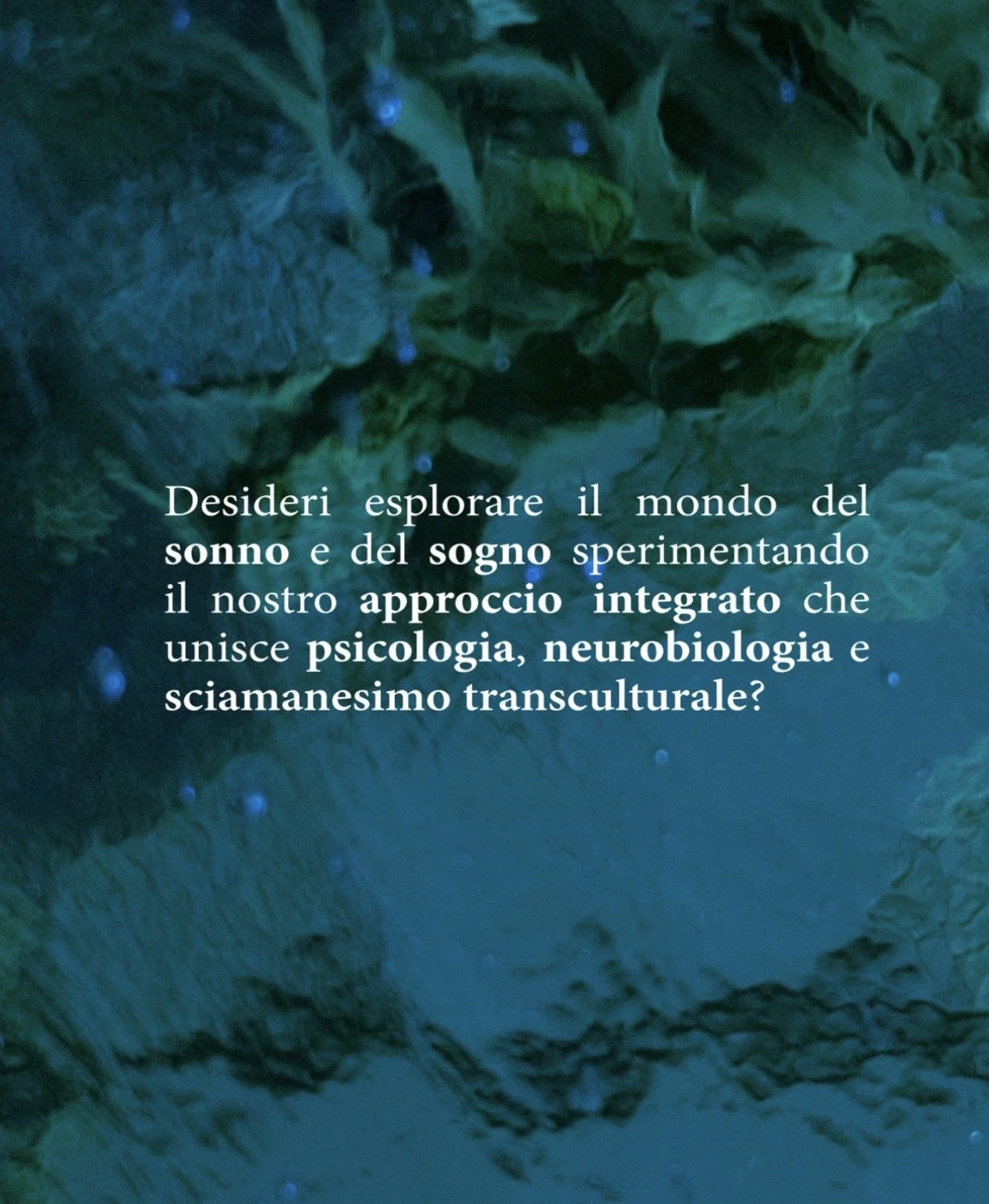 87848A1D-2F78-4FE3-9240-5DFAFD795635.JPG
