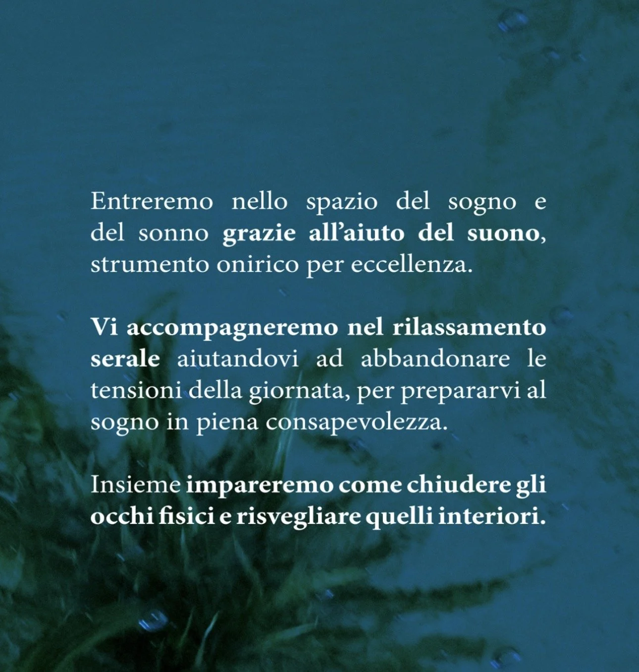 5D36327F-ED5D-4E1B-BCB8-146905A57D07.JPG