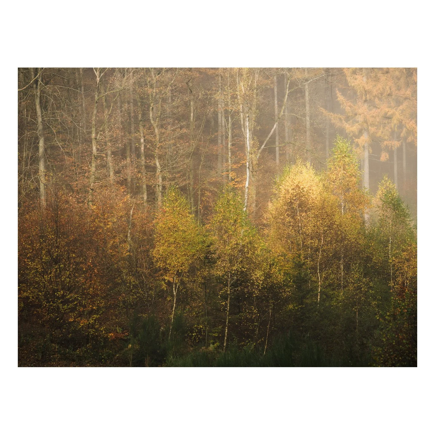 Test-32.jpg