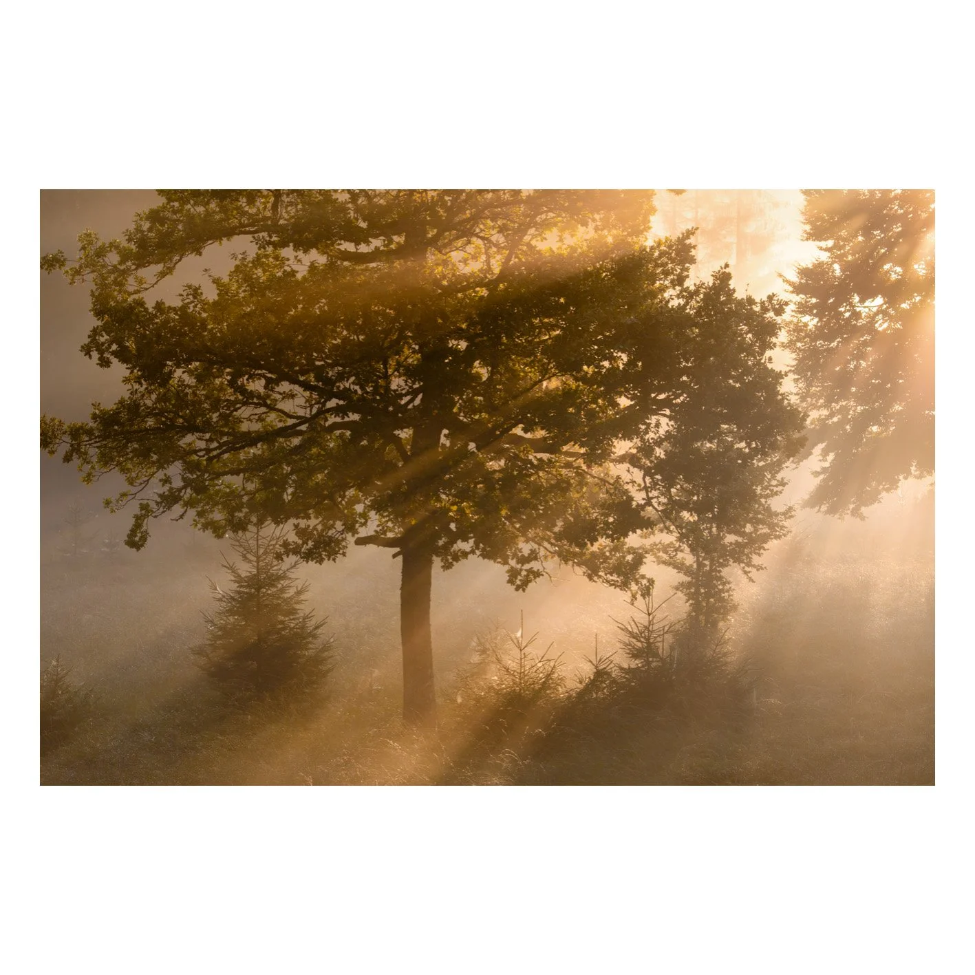 Test-22.jpg