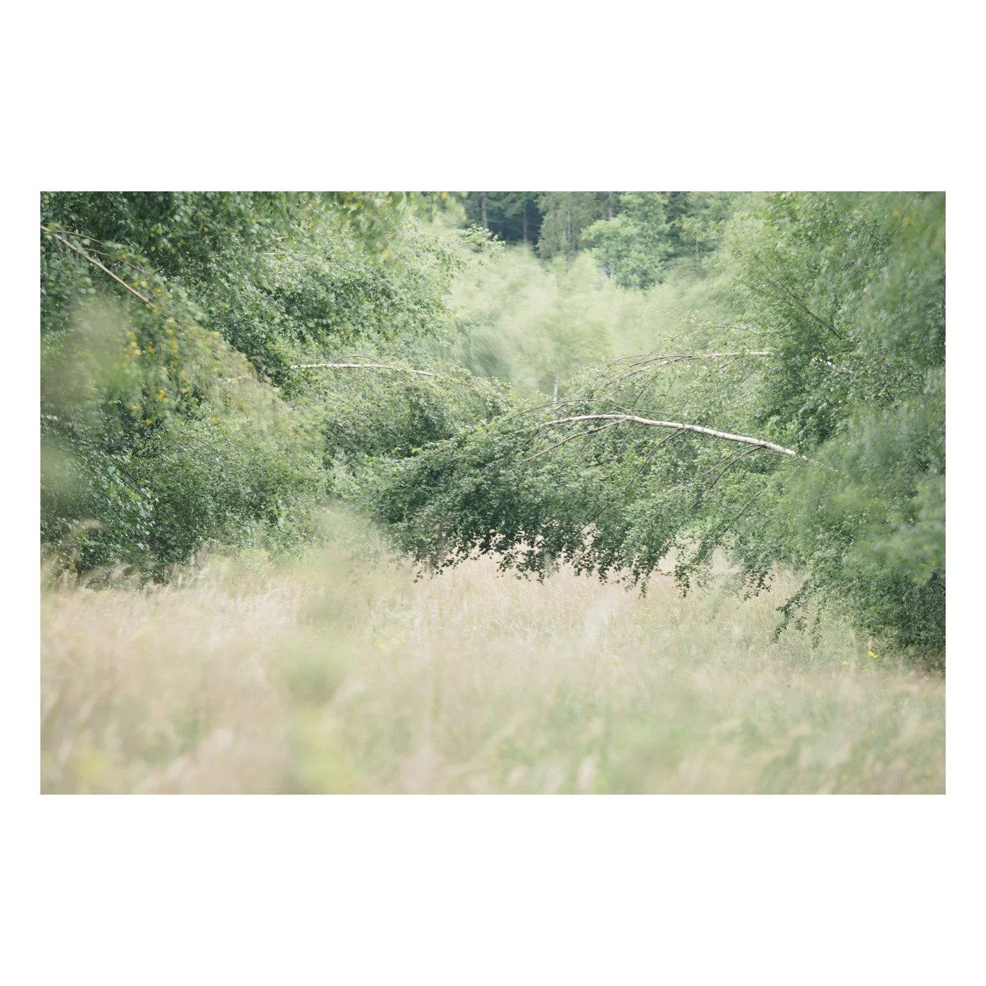 Test-15.jpg
