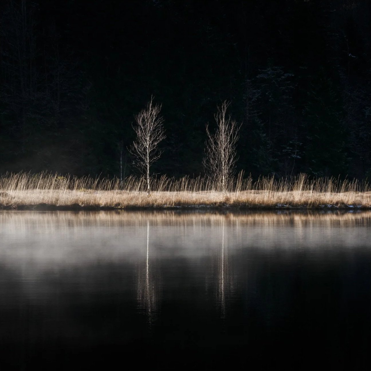 À la découverte des Vosges