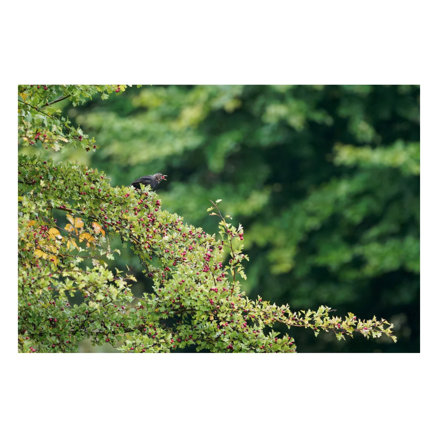 Test-20.jpg
