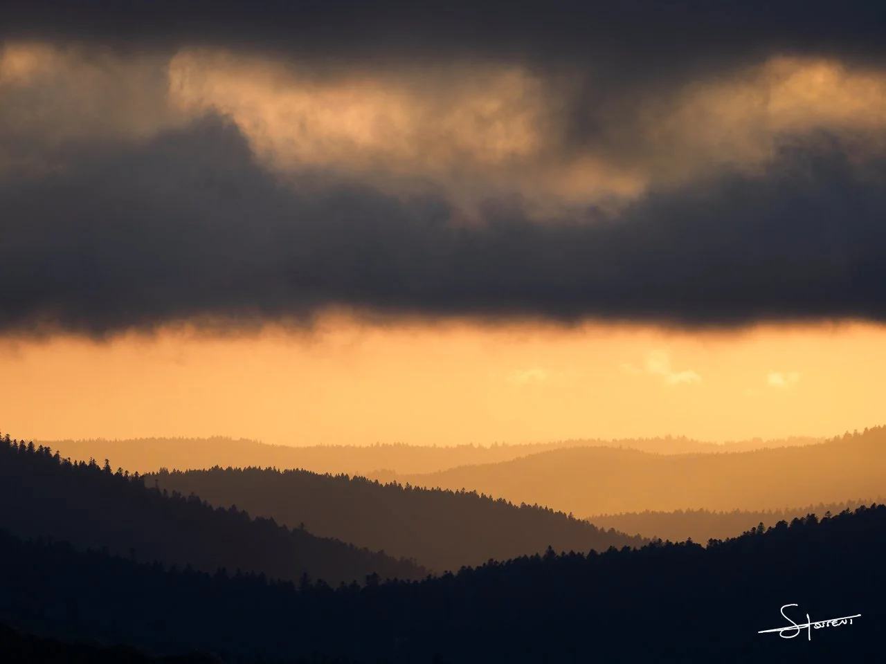 Vosges, France. #119