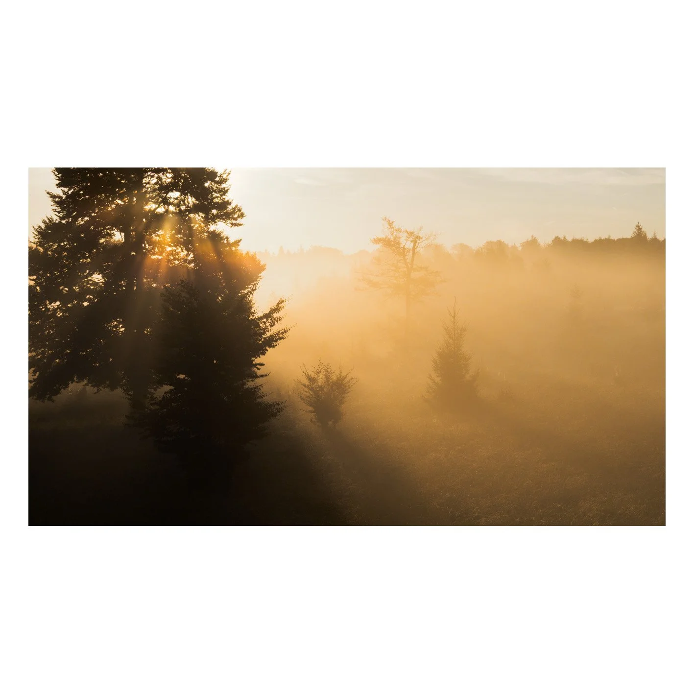 Test-30.jpg