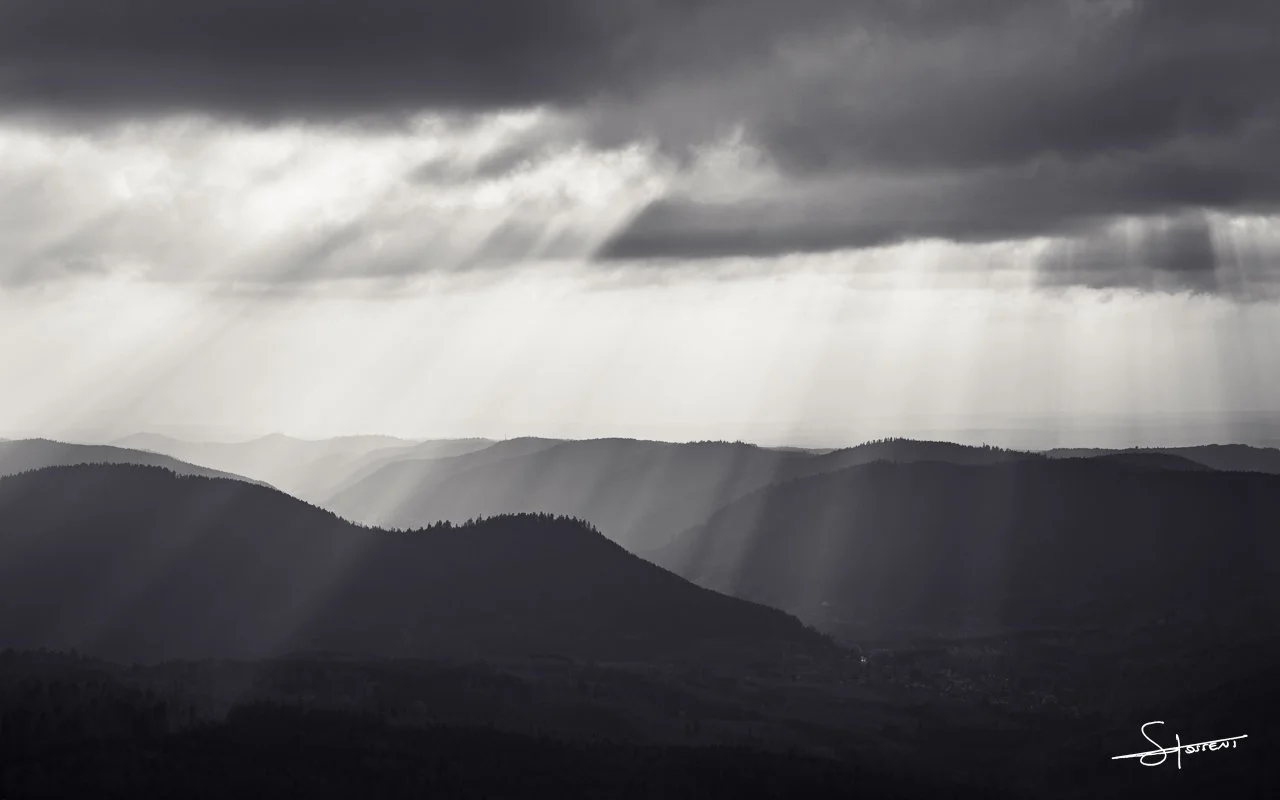 Vosges, France. #313