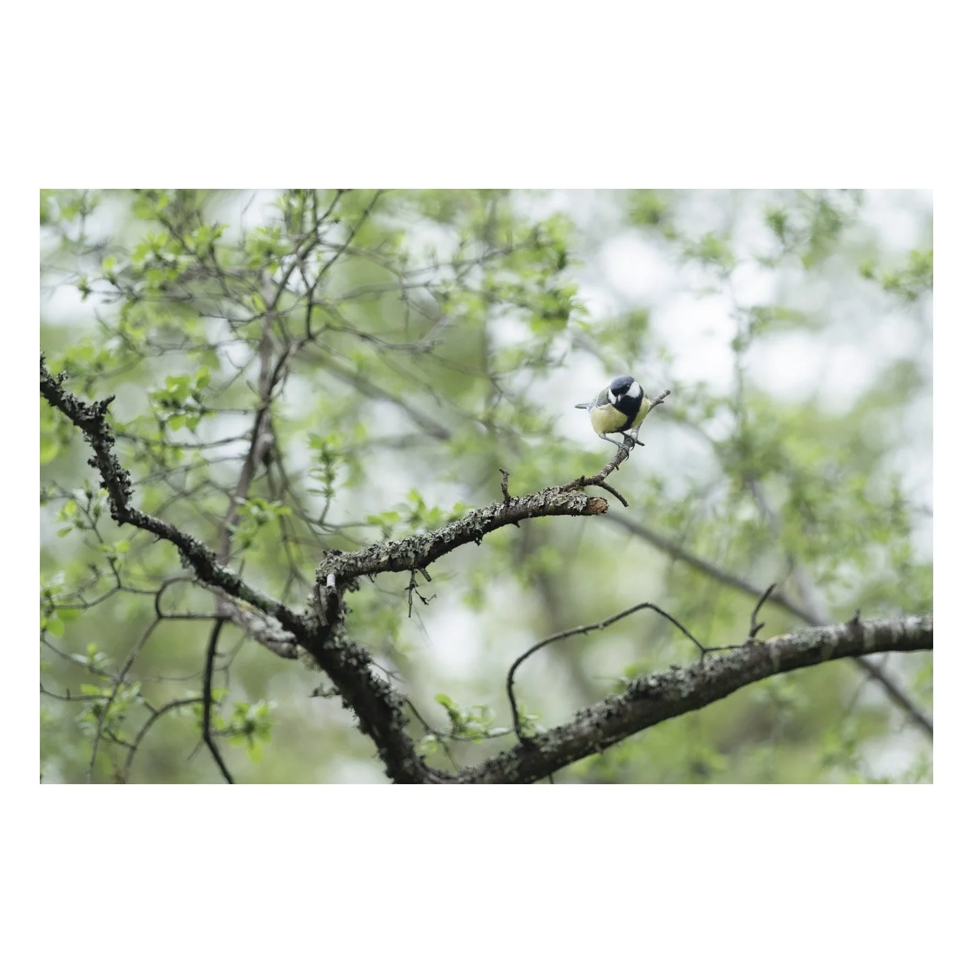 Test-11.jpg