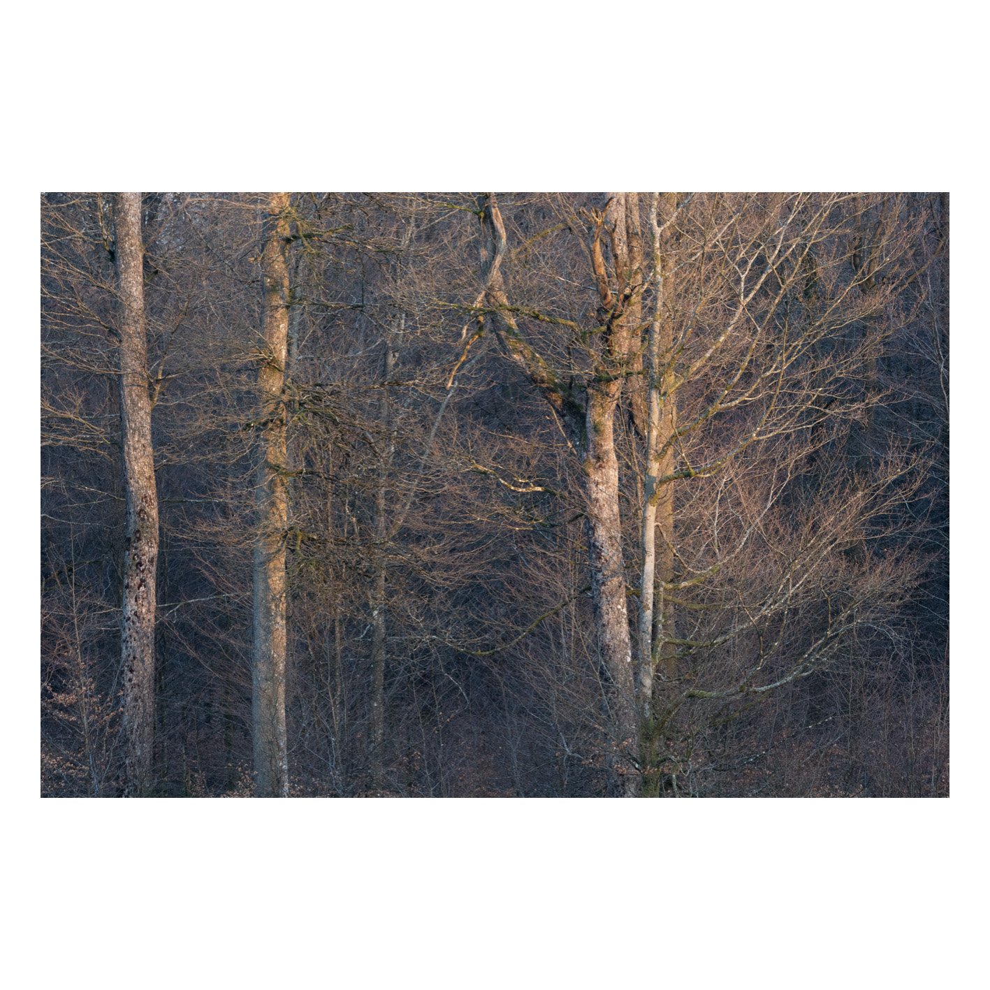 Test-01.jpg