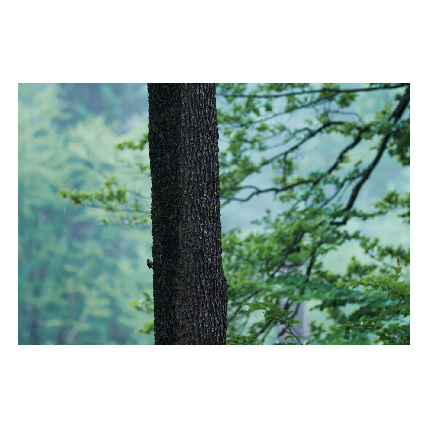 Test-18.jpg