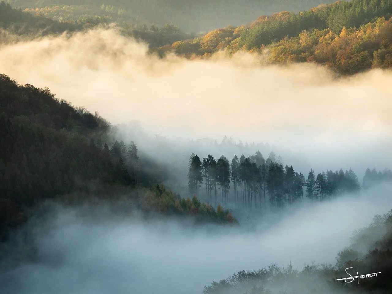 Ardennes, Belgique. #106