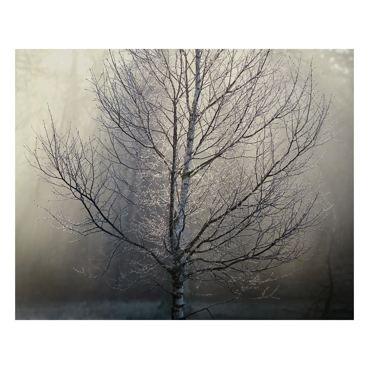 Test-34.jpg