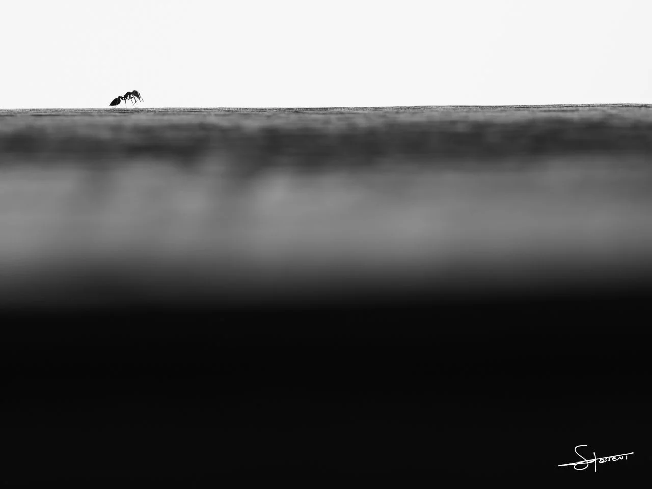 RO Teich, France. #315