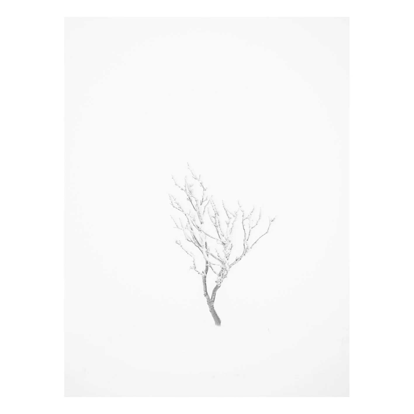 Test-35.jpg