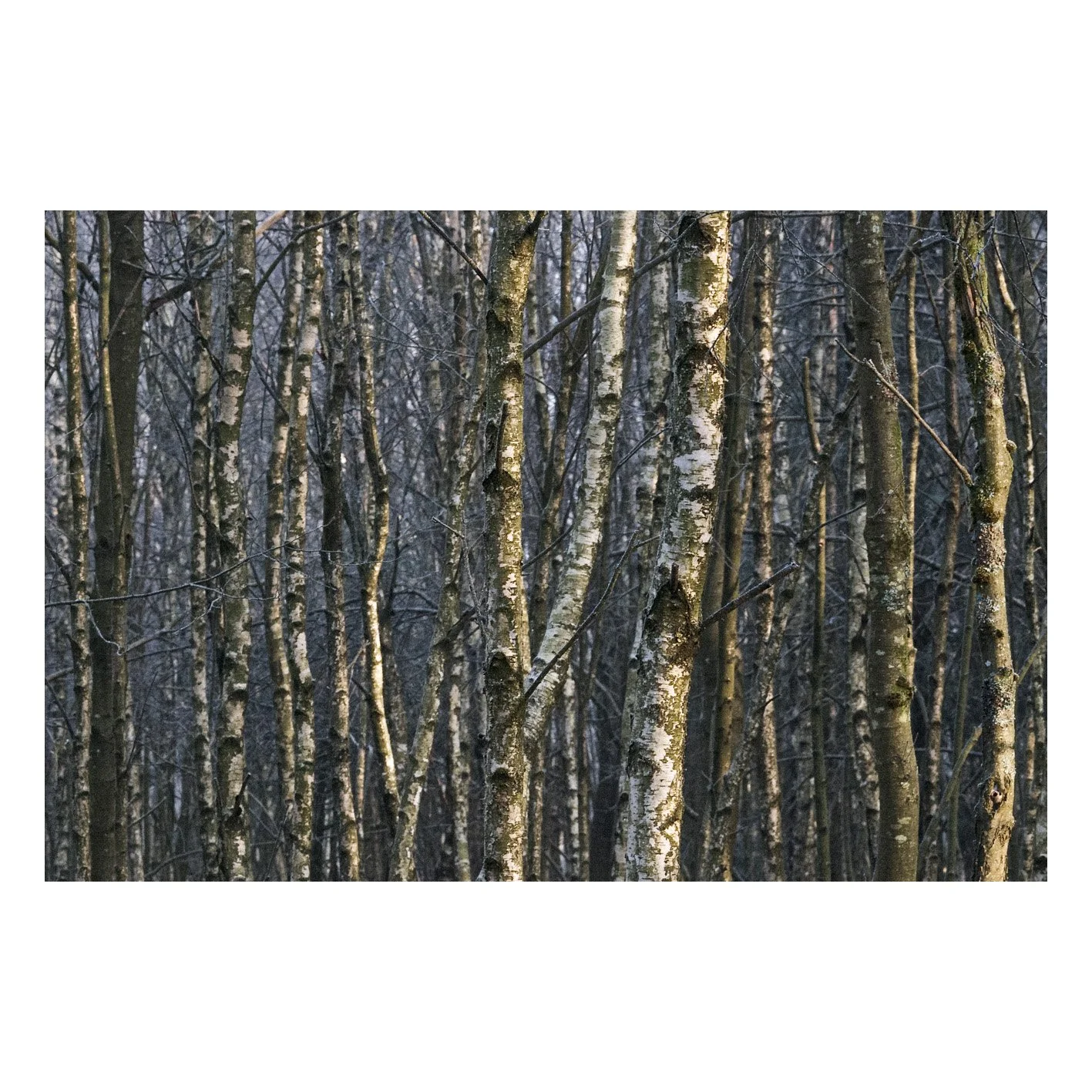 Test-33.jpg