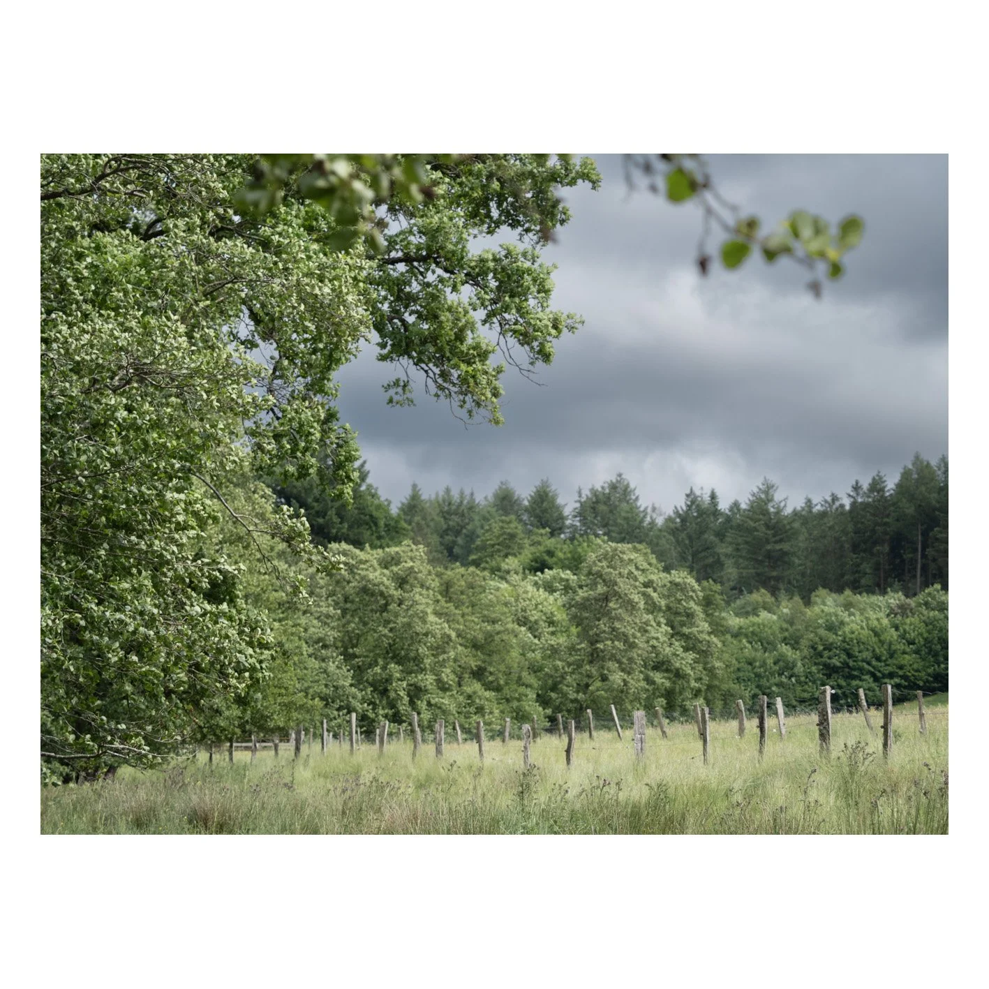 Galerie_Cigogne-01.jpg