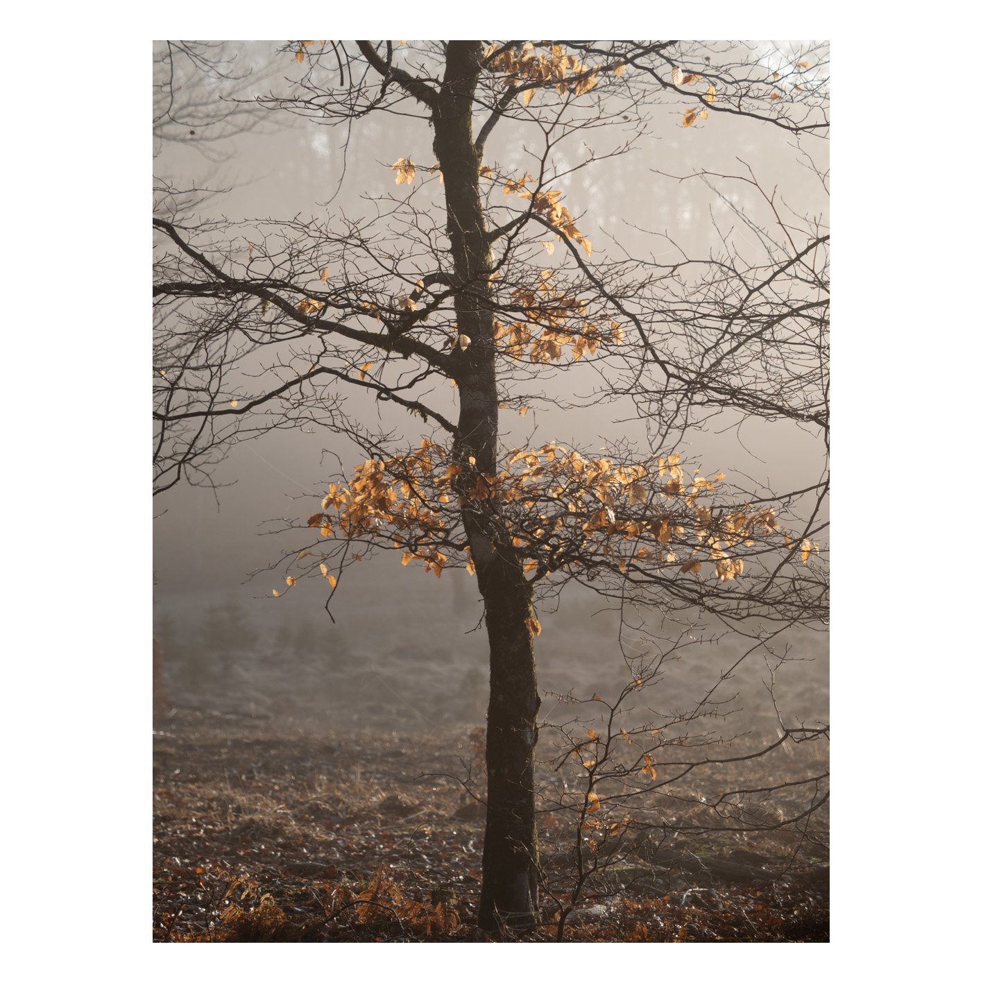 Test-05.jpg