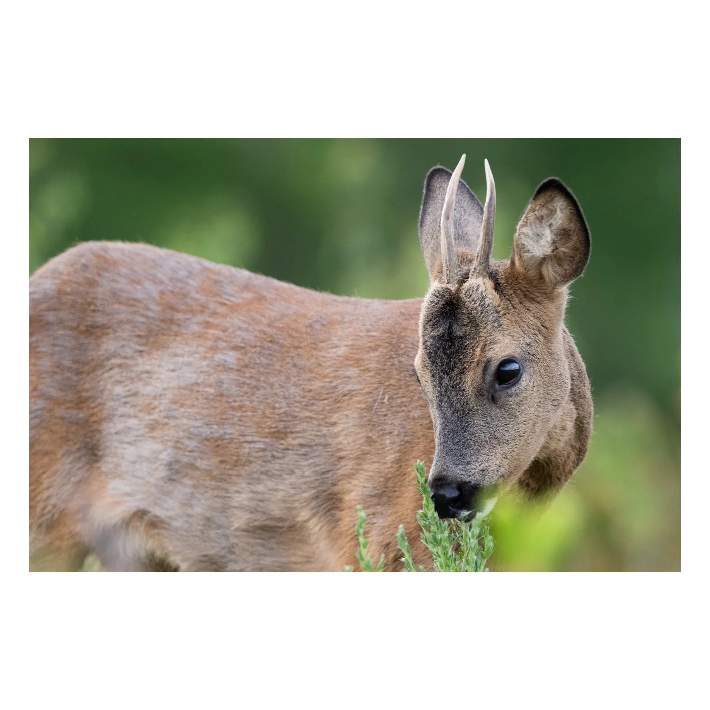 Test-14.jpg