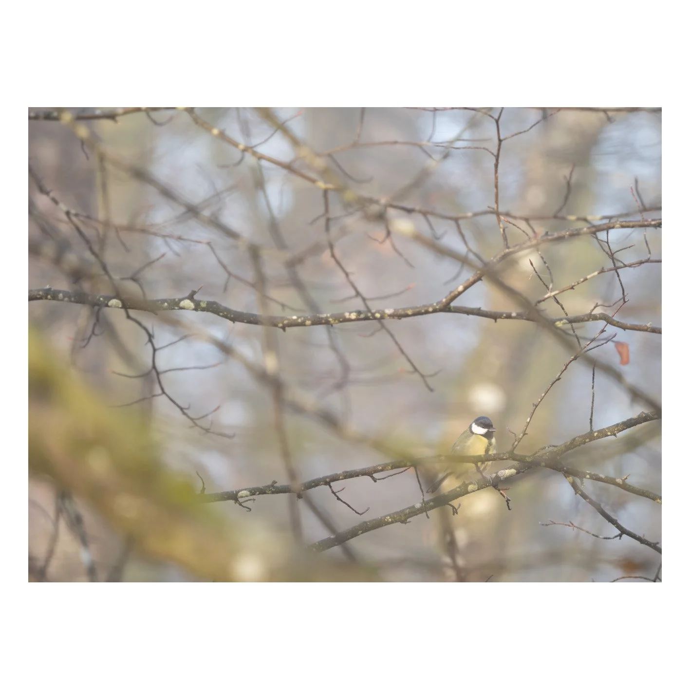 Test-02.jpg