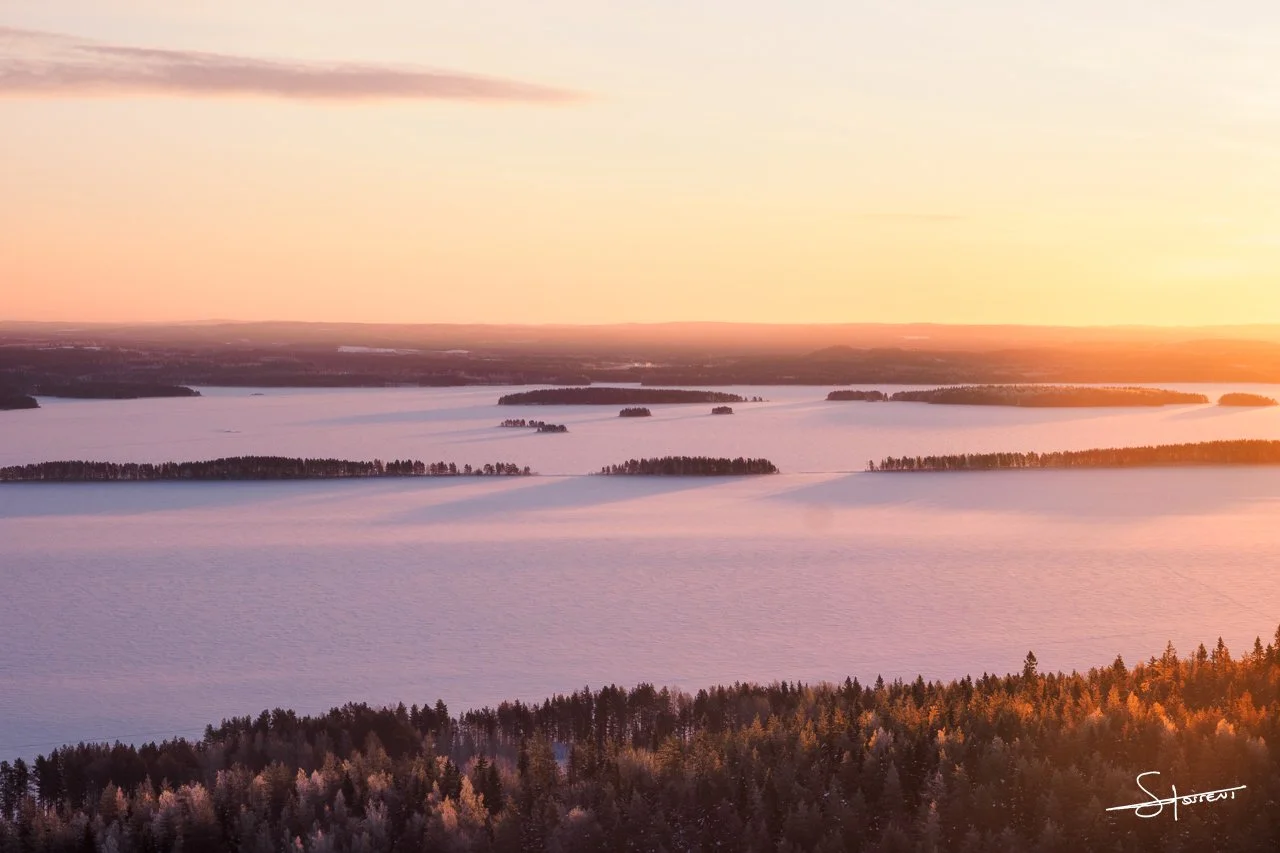 Koli National Park, Finlande. #105