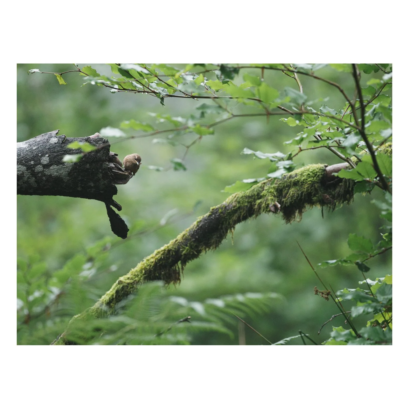Test-16.jpg