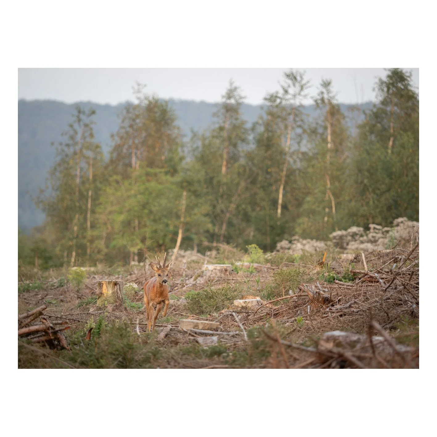Test-26.jpg